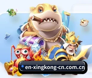 关于我们 - 体育资讯内容服务（XINGKONGSPORTS）