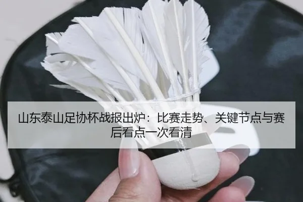 山东泰山足协杯战报出炉：比赛走势、关键节点与赛后看点一次看清（XINGKONGSPORTS）
